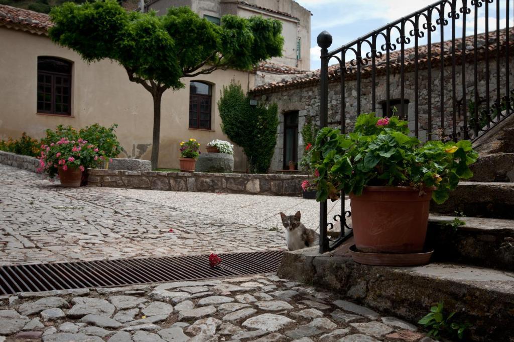 Il Vecchio Frantoio Villa Scillato  Exterior foto